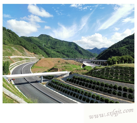 Ρ(й)ٷվ-YY SPORTS